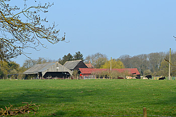 Apsleybury Farm April 2015
